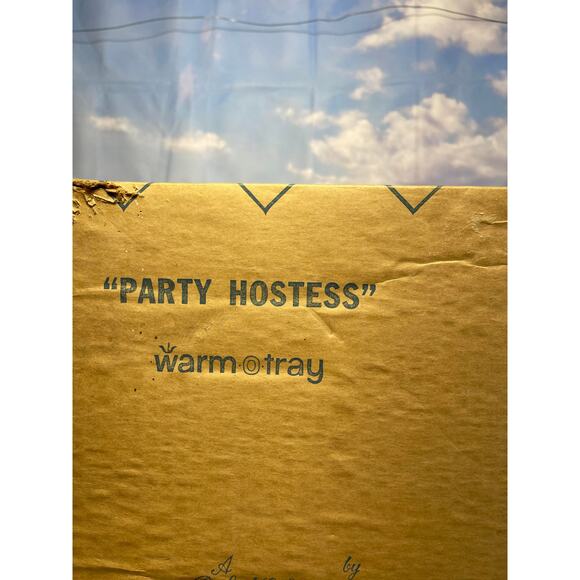 Vintage Warm-O-Tray Blue Cornflower Party Hostess Warming Tray - Picture 6 of 11